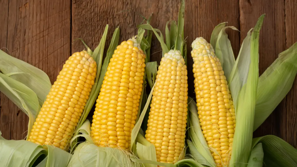 Campfire Grilled Corn Salad Recipe