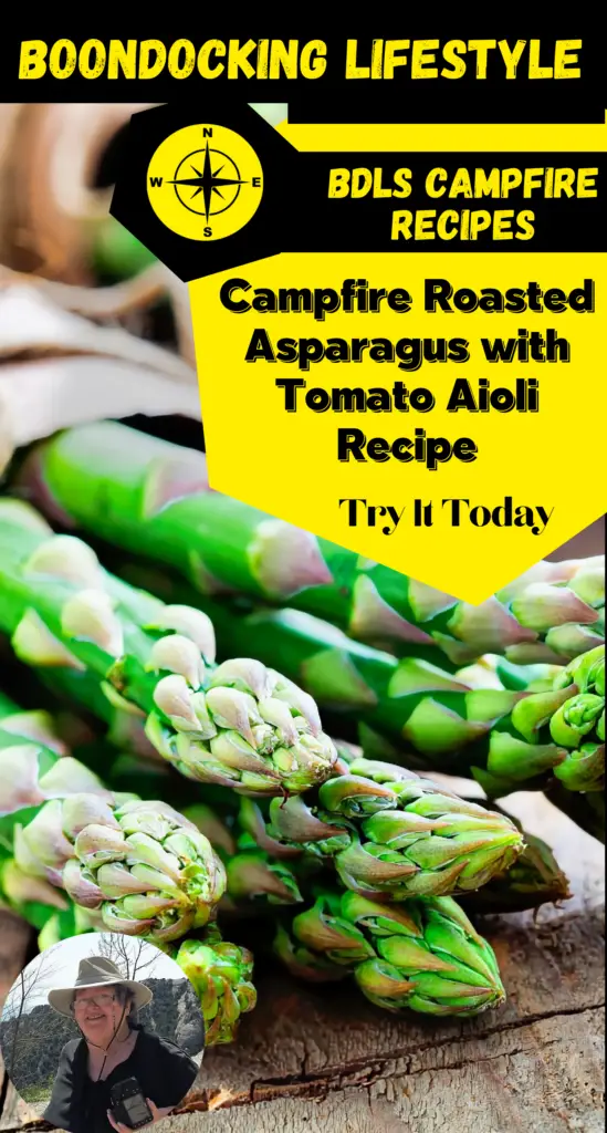 Campfire Roasted Asparagus With Tomato Aioli Sauce Recipe