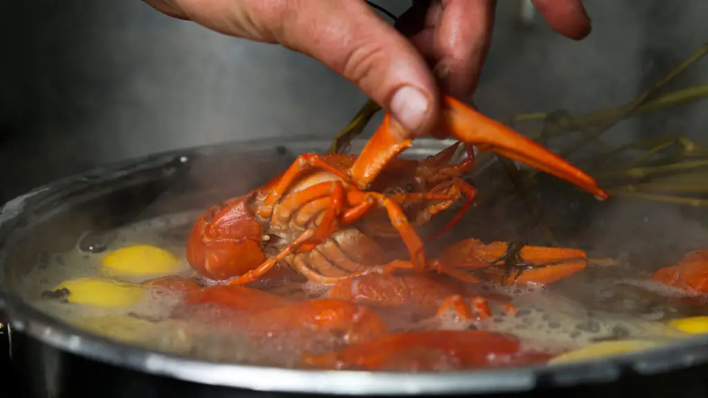 New England Campfire Lobster Bake Recipe