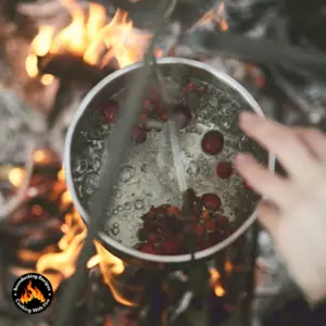 Campfire One Pot Beef Stroganoff Recipe
