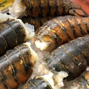 Instruction 2 Campfire Smoked Lobster Tails Recipe