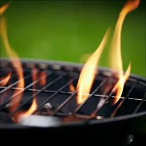 Campfire Duck Steak Fries Recipe