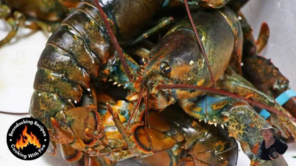 New England Campfire Lobster Rolls Recipe