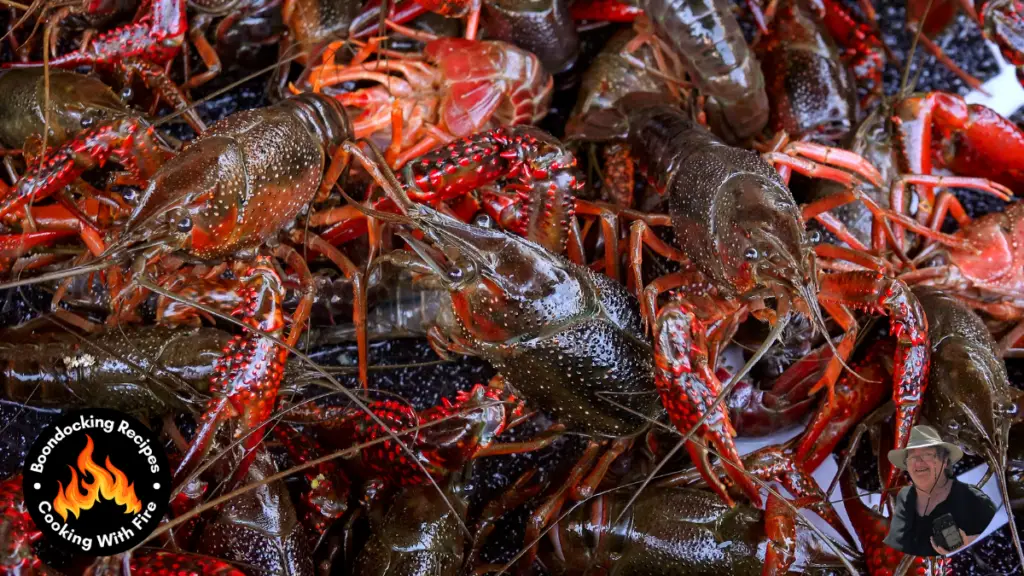 Campfire Hot Crawfish Dip Recipe