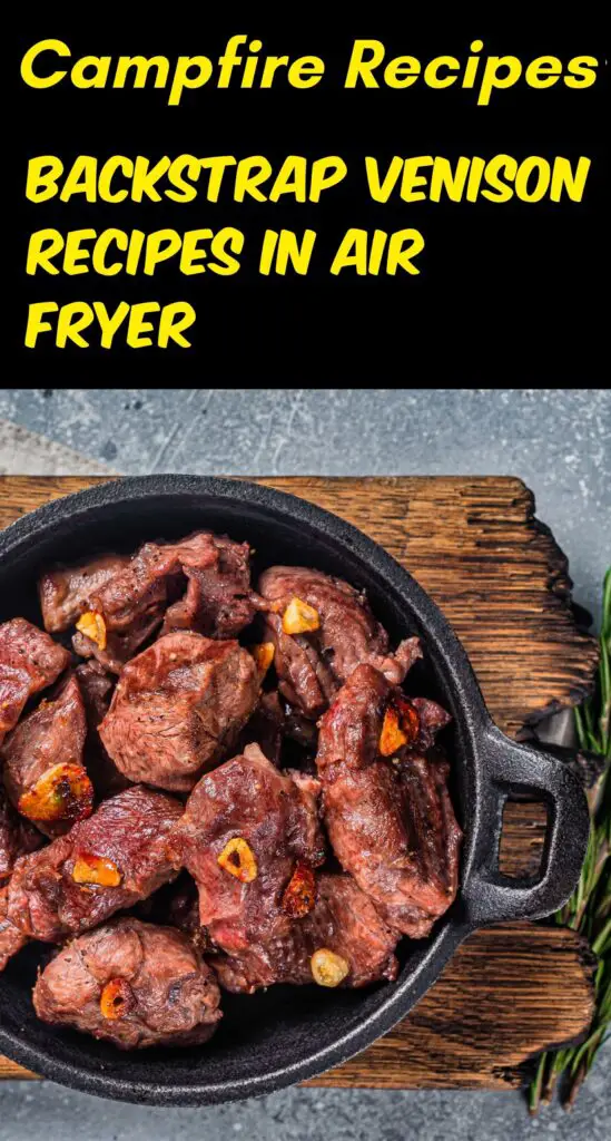 Backstrap Venison Recipes in Air Fryer