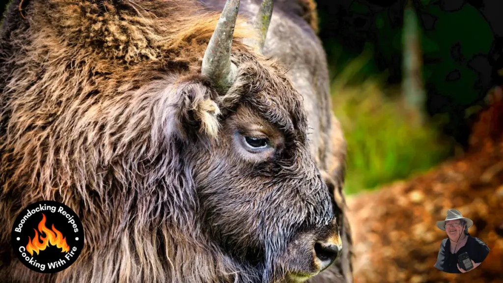 Bison Burger Slider Recipe