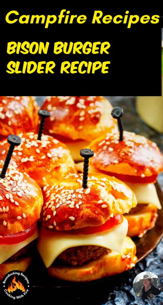 Bison Burger Slider Recipe