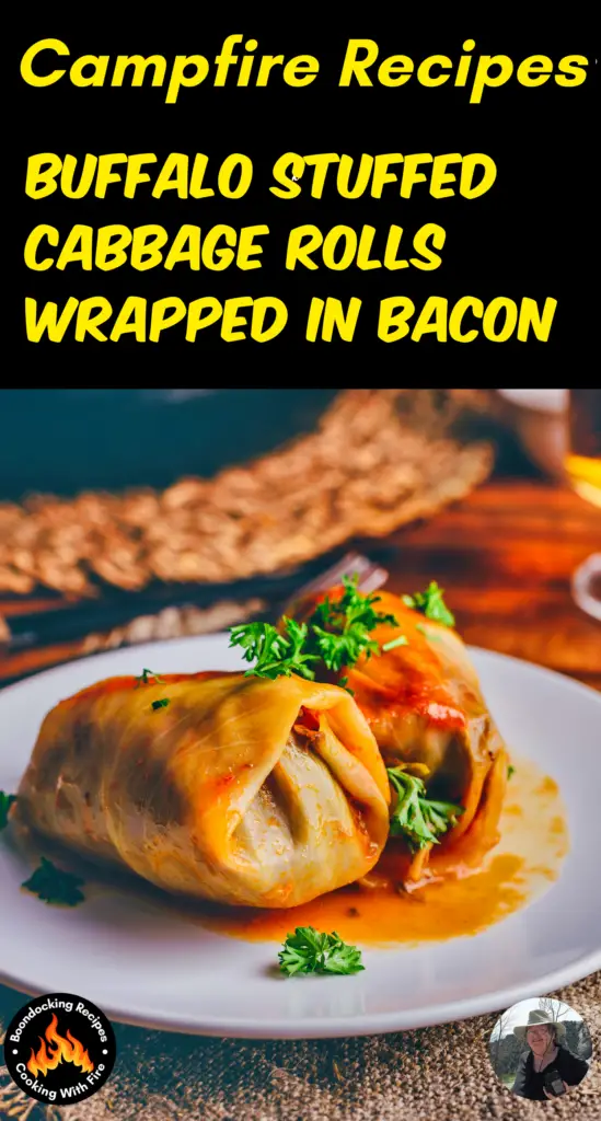 Bison Stuffed Cabbage Rolls