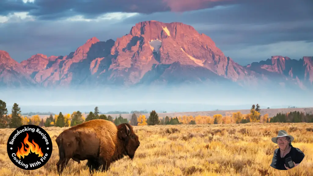 Bison Recipe Featured Image