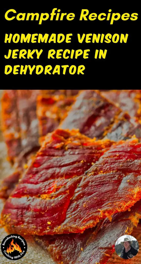 Homemade Venison Jerky Recipe In Dehydrator