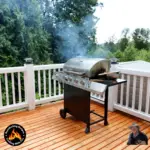 Grilled Chicken Breast with Spicy Buttermilk Mayo Rub (12)