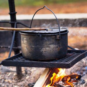 Campfire Bison Swedish Meatballs and Gravy (6)
