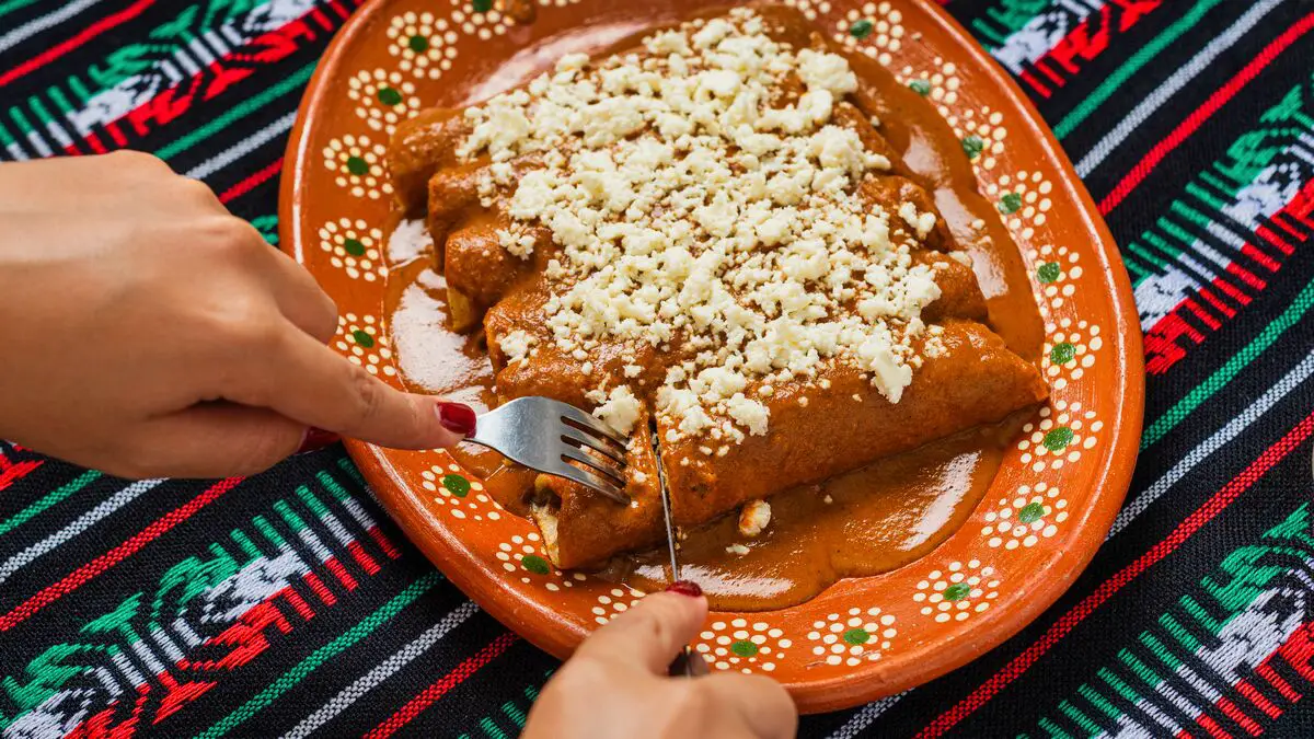 Chipotle Bison Enchiladas Recipe