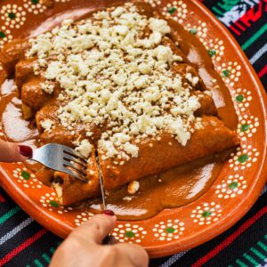 Chipotle Bison Enchiladas Recipe