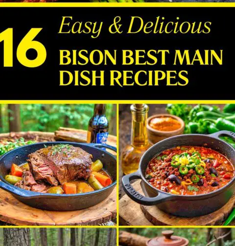 Best Bison Main Dish Recipes