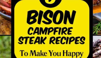 8 Best Bison Steak Recipes