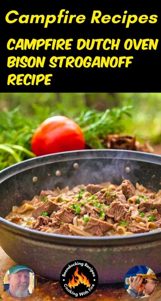 Dutch Oven Bison Stroganoff Recipe