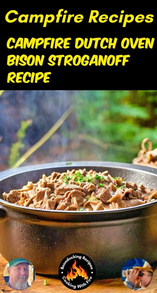 Dutch Oven Bison Stroganoff Recipe