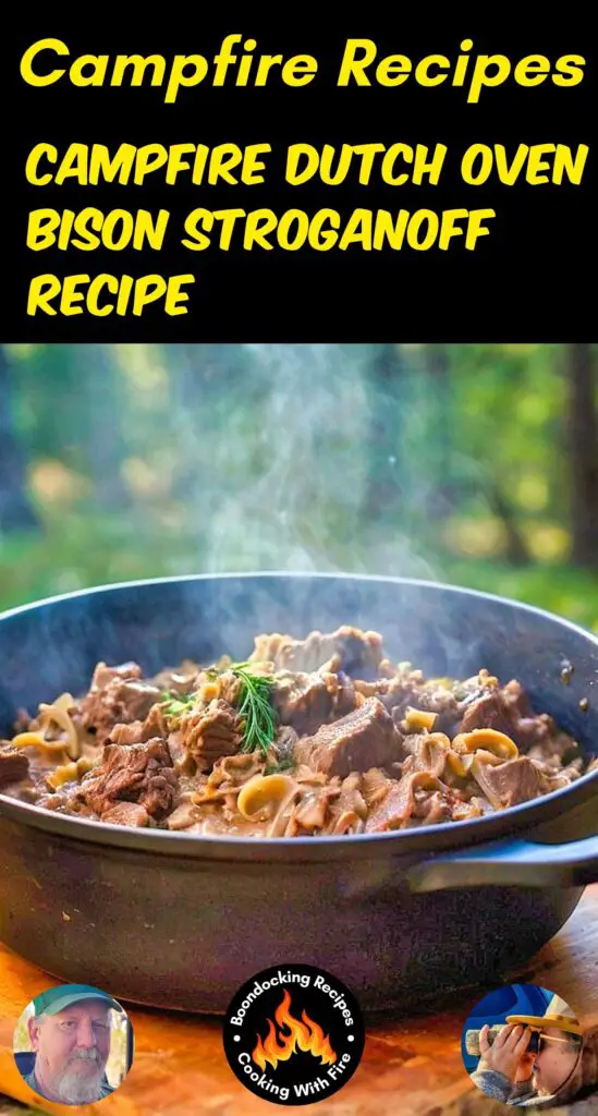 Dutch Oven Bison Stroganoff Recipe