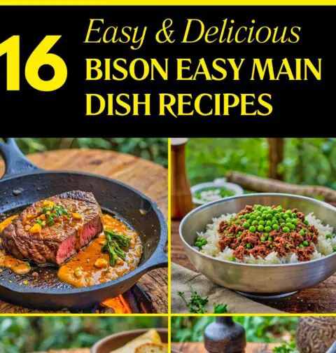Easy Bison Main Dish Recipes