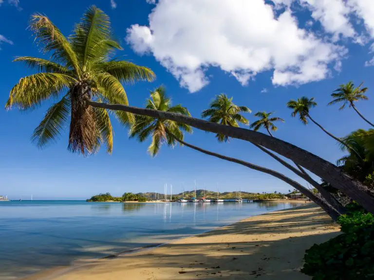 15 Great Fiji Recipes