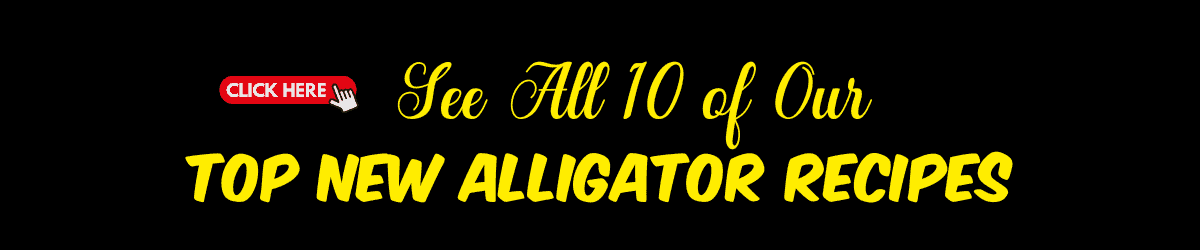 Top Alligator Banner